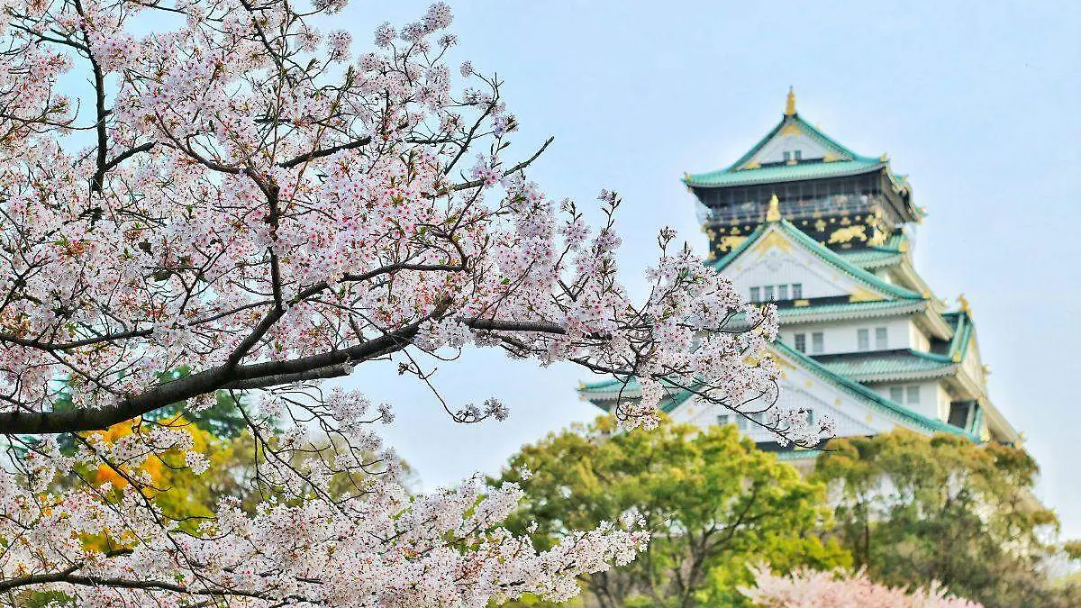 Festival Japonés de la Primavera 2024